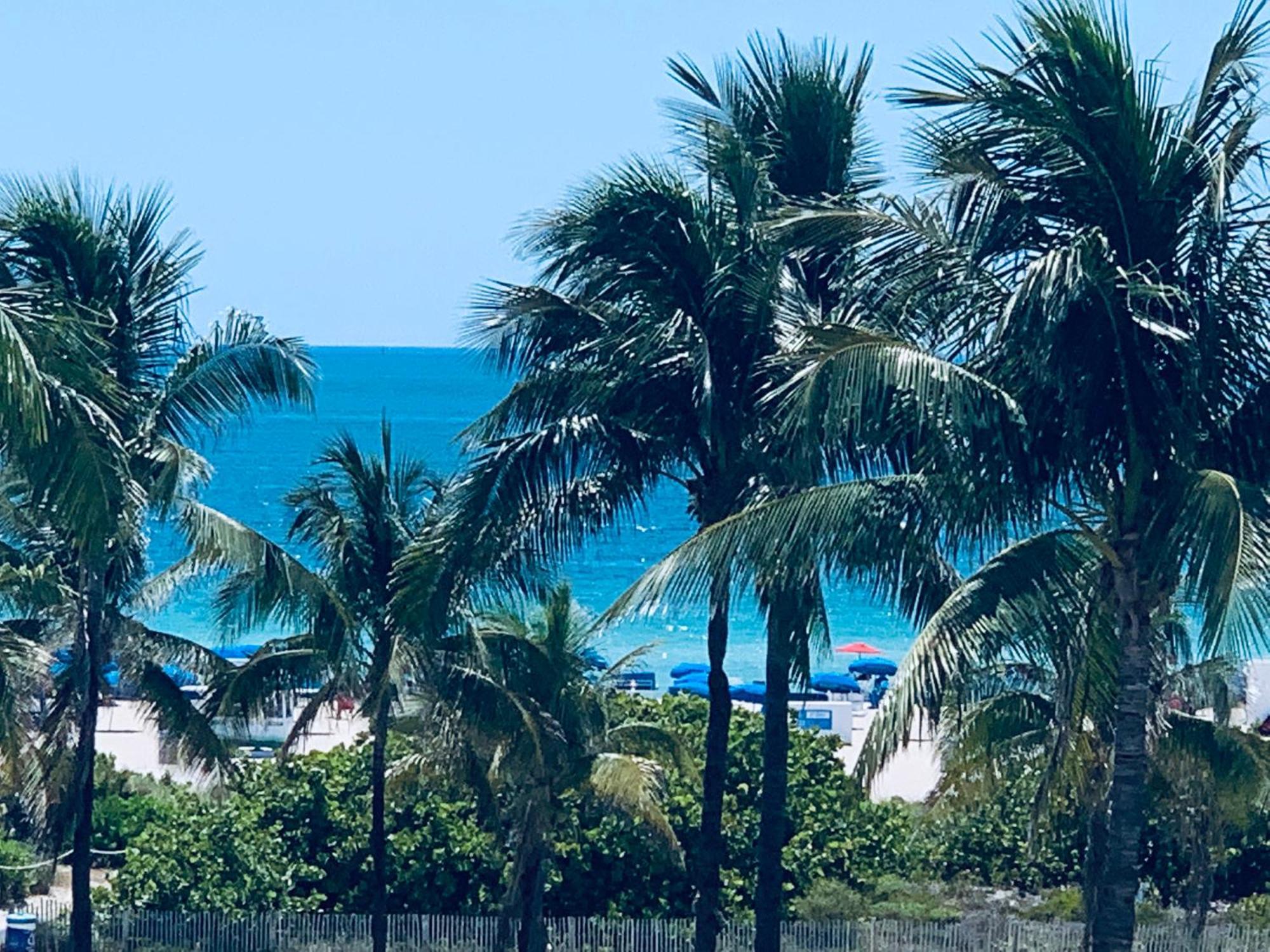 Beachfront Ocean Dr White Sand Paradise Sobe 311 迈阿密海滩 外观 照片